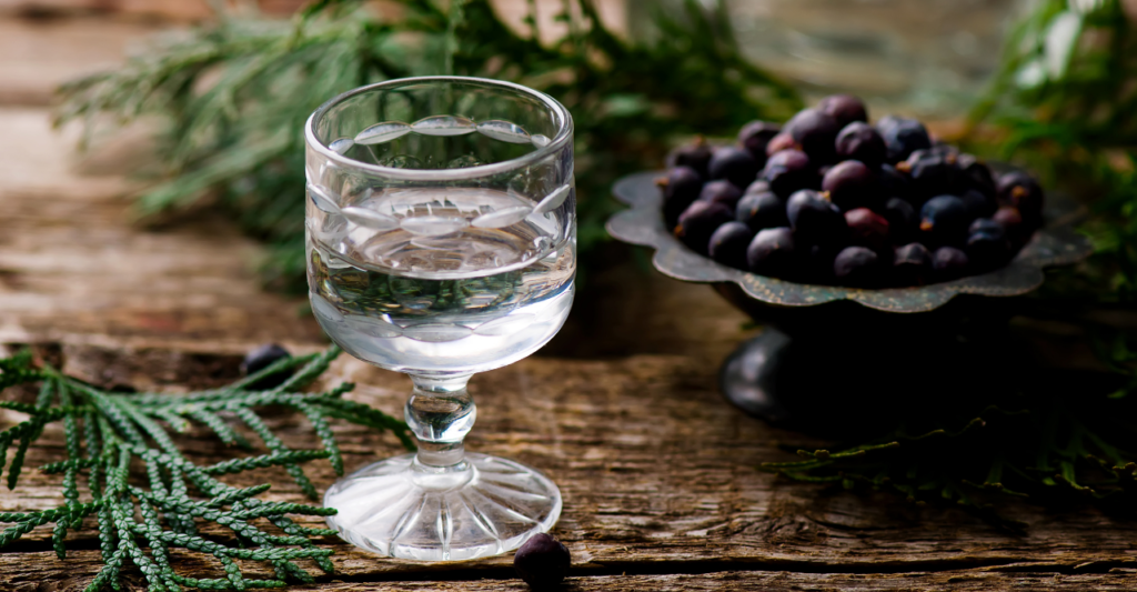 Wie trinkt man Gin? » mit Tonic, Pur oder im Cocktail?