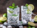 Gin und Julep Cocktail in stilvollem Glas mit frischer Minze garniert