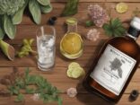 Modernes Gemälde mit braunem Farbschema, Bootsmann Gin Test: Flasche Bootsmann Gin auf rustikalem Holztisch, umgeben von Botanicals, mit einem Gin-gefüllten Verkostungsglas.